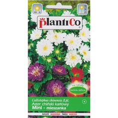 Aster chiński karłowy Mini 1g. mieszanka-4250