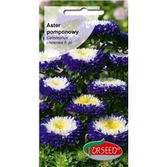 Aster pomponowy 0.5g niebiesko-biały-2140